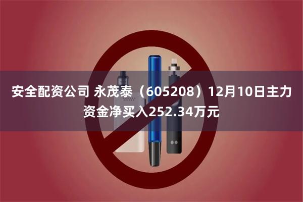 安全配资公司 永茂泰（605208）12月10日主力资金净买入252.34万元