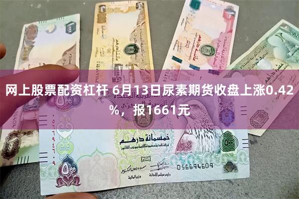 网上股票配资杠杆 6月13日尿素期货收盘上涨0.42%，报1661元